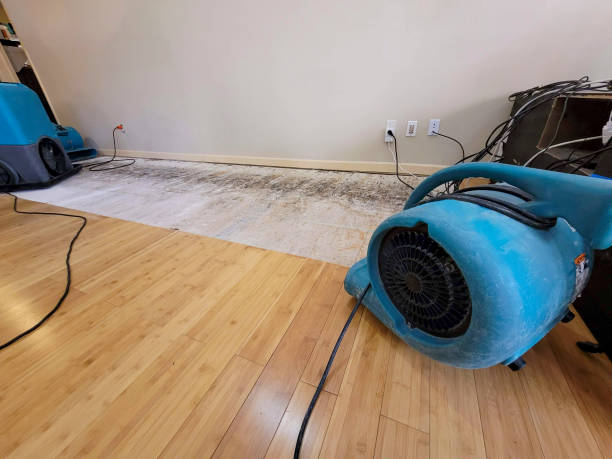 Professional Sewage Cleanup technician working in Barnhart, MO